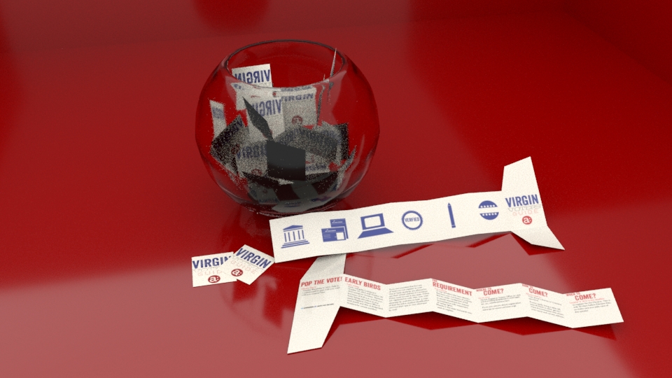 virgin voters guide